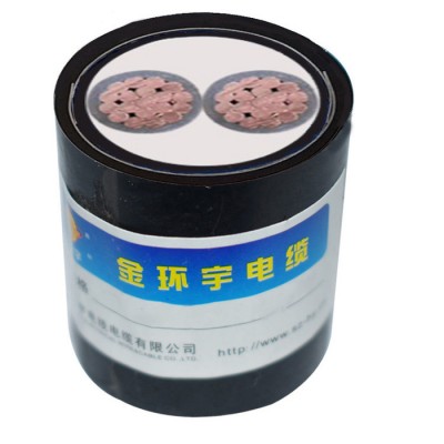 金環(huán)宇電纜 深圳yjv22鎧裝電纜ZAN-Y