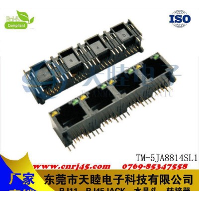 帶邊2連體RJ45連接器全塑  全塑網(wǎng)絡(luò)