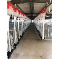 豬舍自動(dòng)上料線(xiàn)絞龍育肥母豬料線(xiàn)