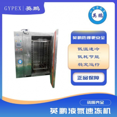低溫商用速凍柜餃子包子海鮮速凍機