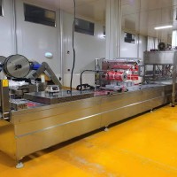 山東厚德熱銷真空拉伸膜食品包裝機   食品包裝設(shè)備