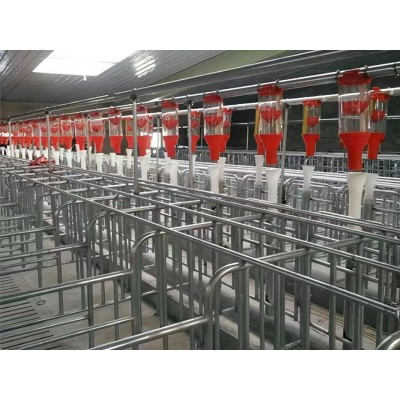 豬場用飼料喂料設(shè)備自動(dòng)化設(shè)備