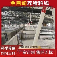 自動(dòng)化喂料線 高效節(jié)能設(shè)計(jì) 穩(wěn)定運(yùn)行