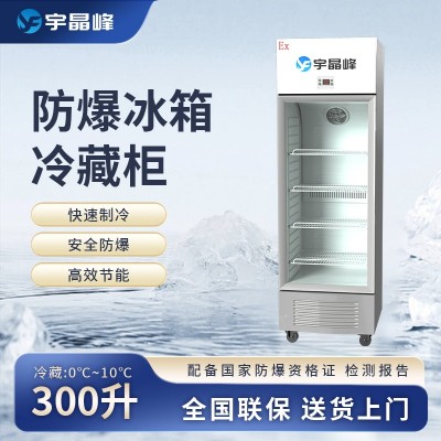 宇晶峰玻璃門防爆冰箱300L