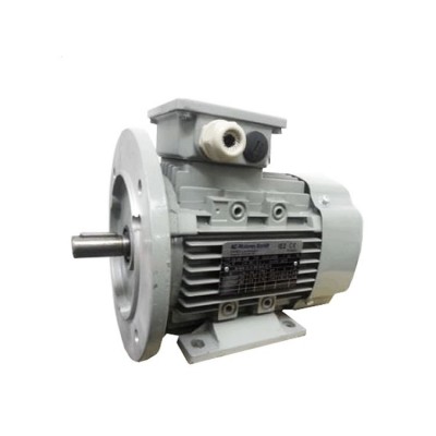 德國ac-motoren FCPA 71B-4電機