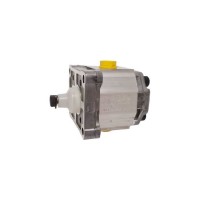 德國Rexroth 111.10.020.00齒輪泵