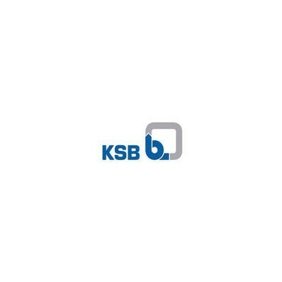德國凱士比KSB閥門止回閥 進口德國