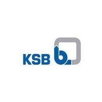德國凱士比KSB閥門止回閥 進(jìn)口德國旋啟式止回閥